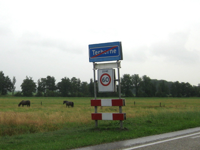 IMG_1243terherne