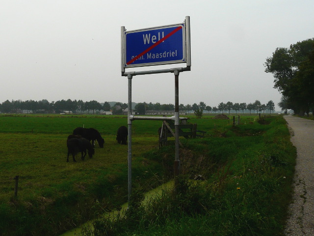 P1000080well