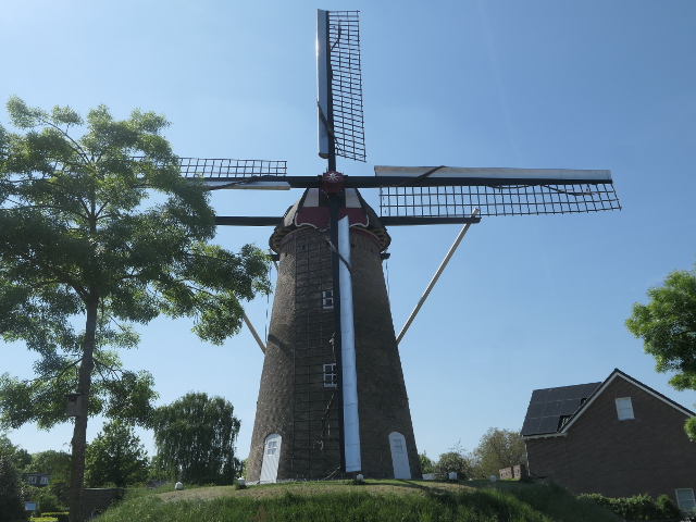 P1360733schijndel_z