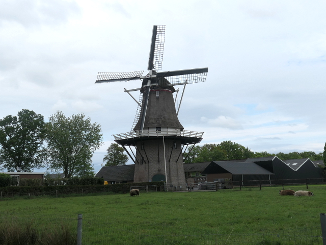 P1360798nieuwleusen_z