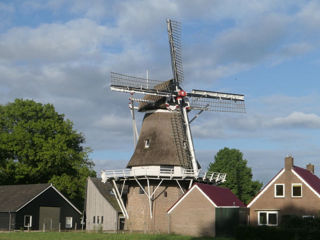 P1360827havelte_z