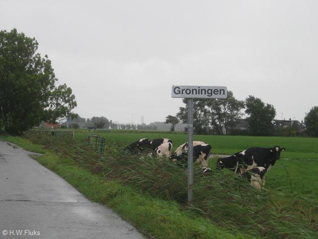 gemgroningen4469
