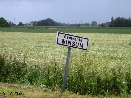 gemwinsum8386