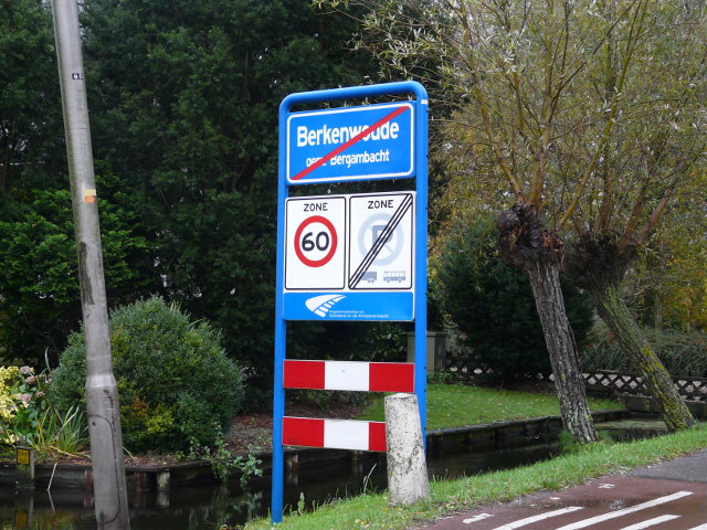 P1010327berkenwoude