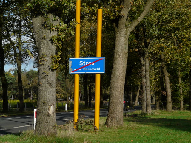 P1010339stroe