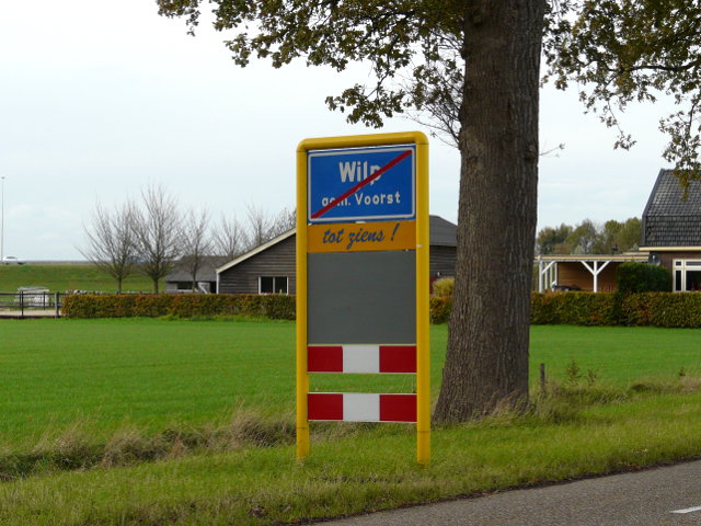 P1010387wilp
