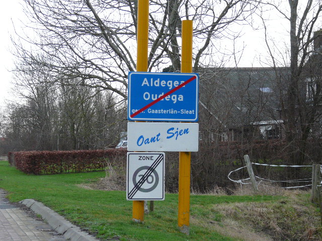 P1020508aldegeagaasterl