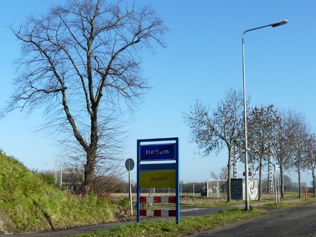 P1030077holtum