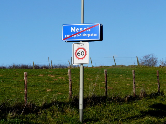 P1030153mesch