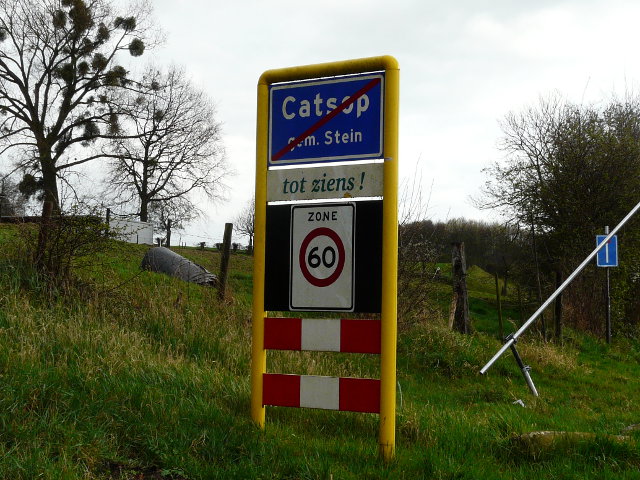 P1040665catsop