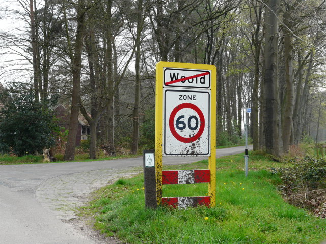 P1040955woold