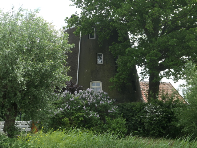P1360888wijkenaalburg_z