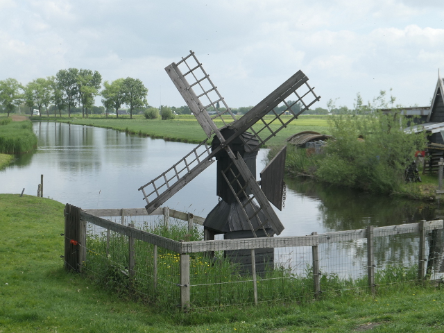P1360901lexmondweidemolentje_z