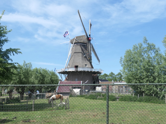 P1370035stiens_z
