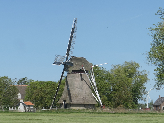P1370065wanswerd_z