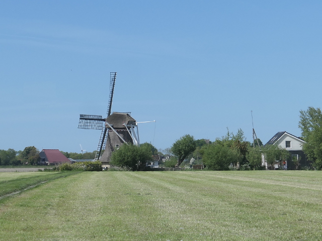 P1370077hogebeintum_z