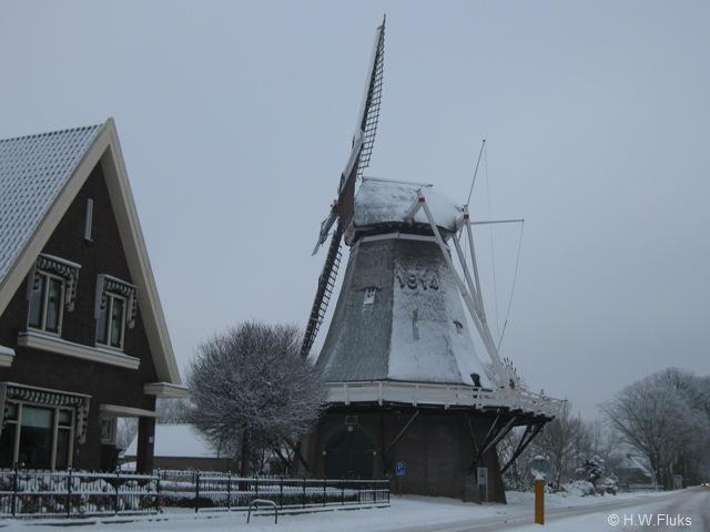 dalen5685