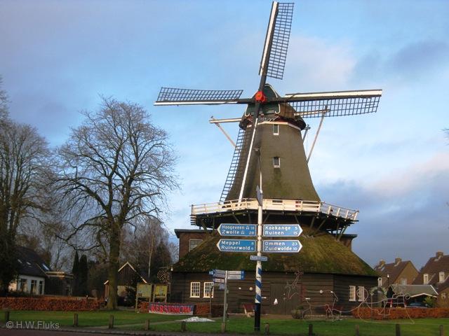 dewijk5631