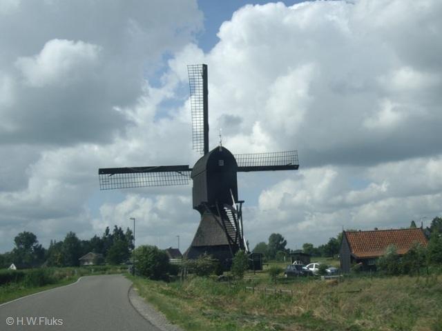 schelluinenIMGP6125