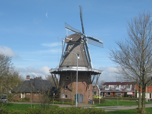 IMG_6503farmsum