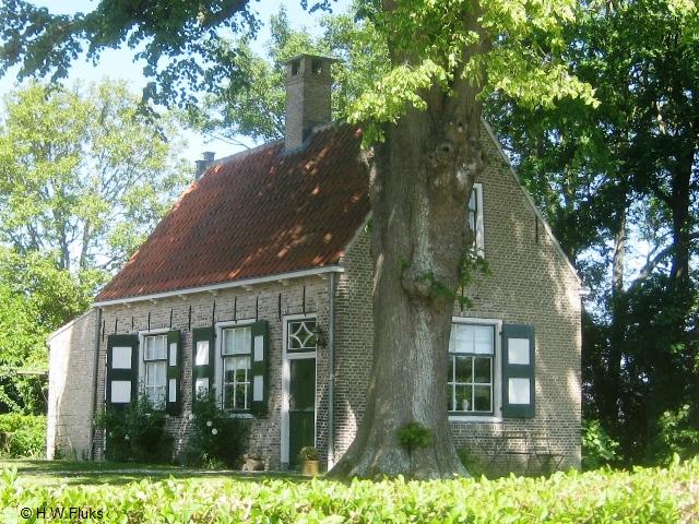 abbekinderen3468
