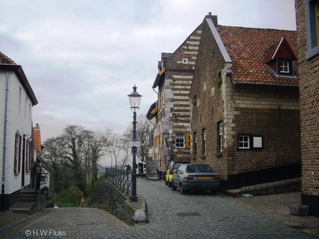 elslooIMGP0433