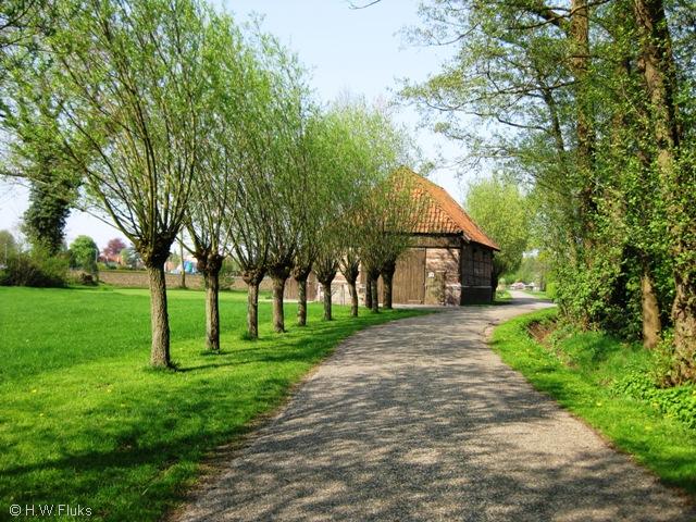 honesch042