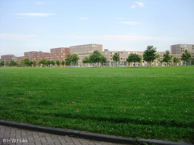 leidscherijn1214