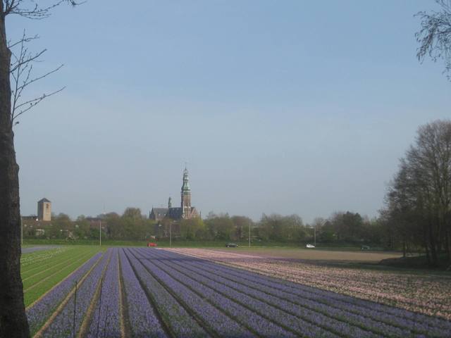 lisse2936