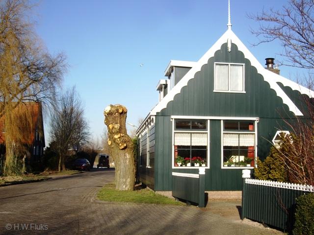 middelIMGP1037