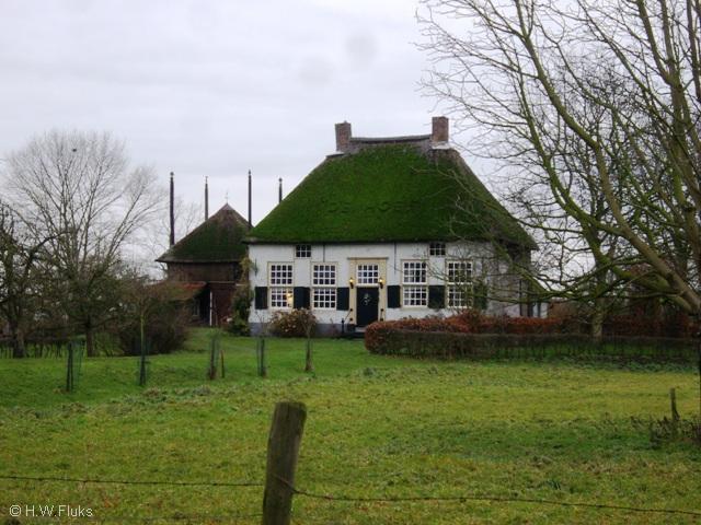 nederhemertzIMGP0745