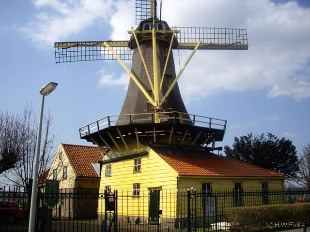 rotterdamIMGP4056