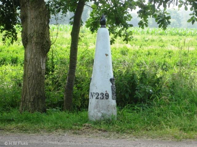 steenpaal3413