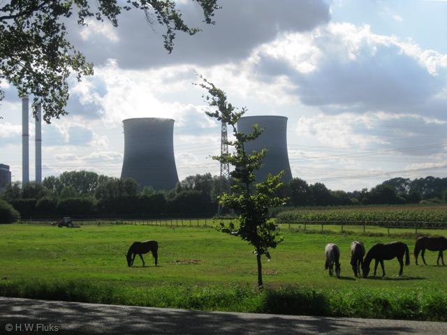 weerd4379