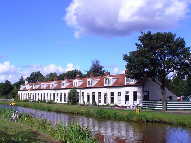 woudbloemDsc02406n