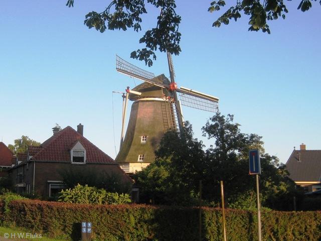zalk3619