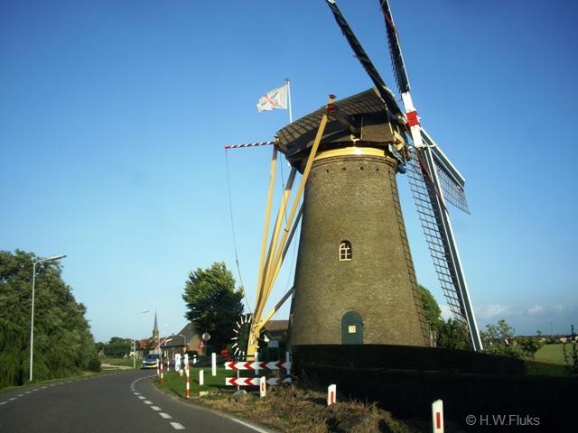 zuidbeijerlandIMGP6662