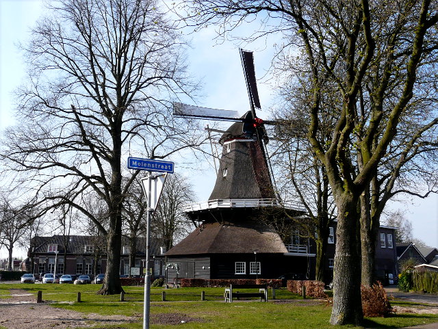 P1040864dewijk