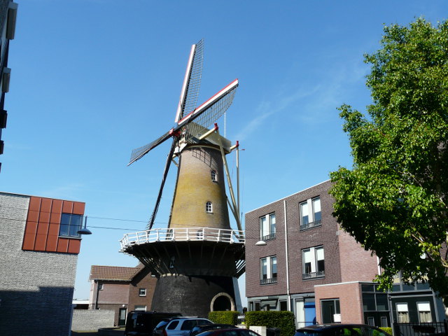 P1050174leur