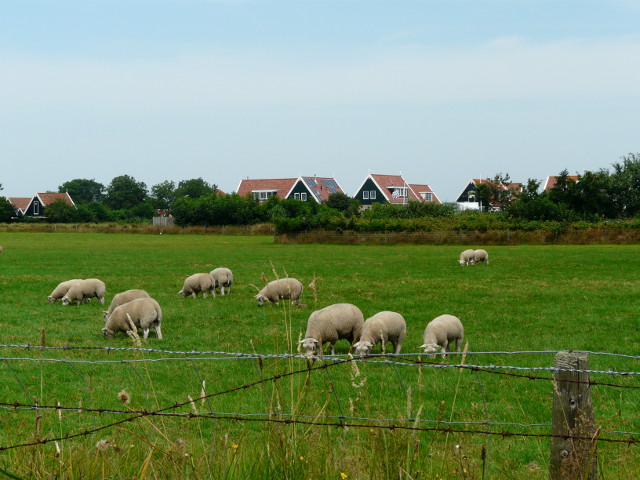 P1080255oost