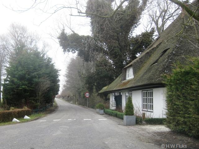 langereis8020