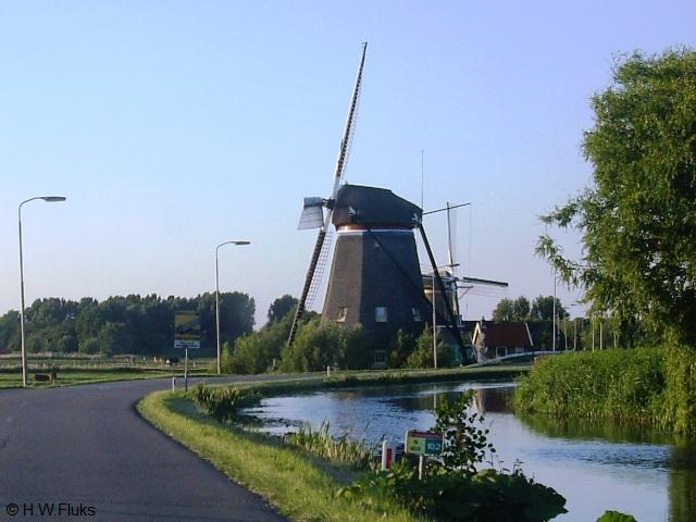maaslandIMGP6072