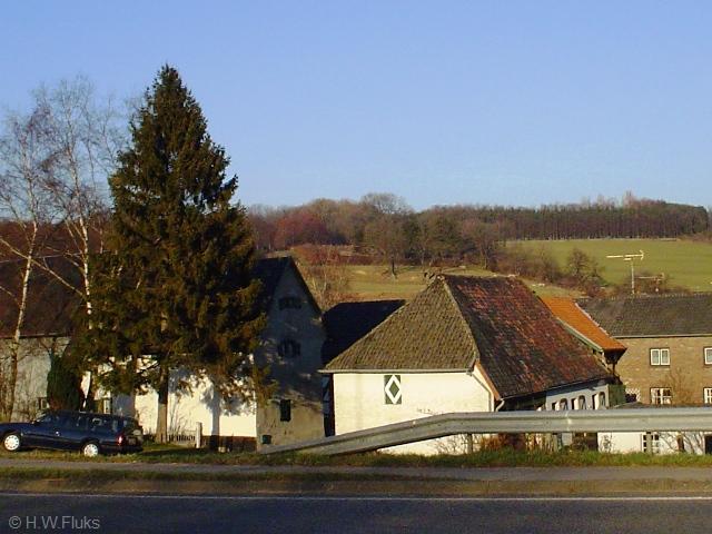 mamelisDSC03549
