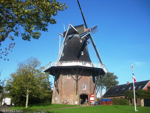 usquert6498