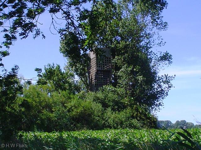 warfhuizenDSC07696