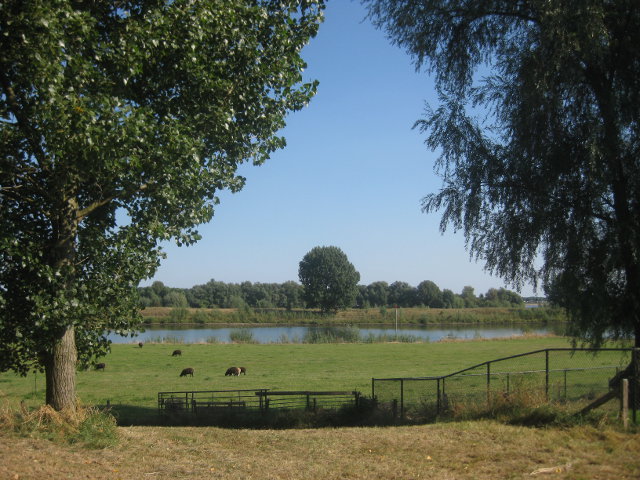 IMG_2080heerewaarden
