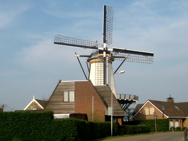 IMG_7058benthuizen