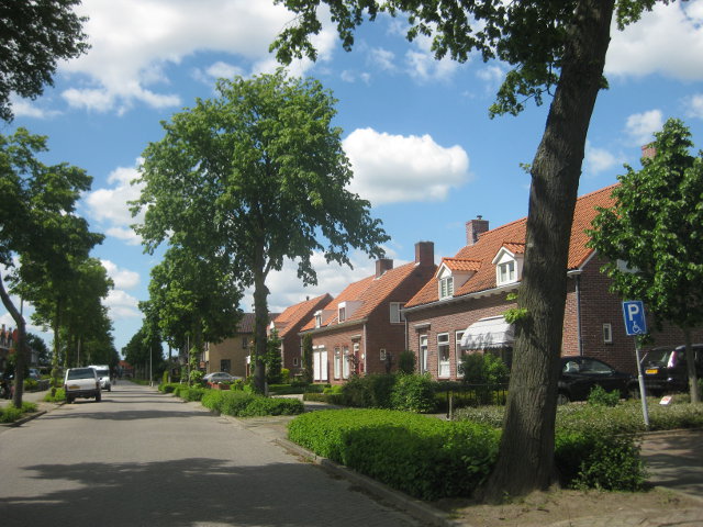 IMG_8086wernhout