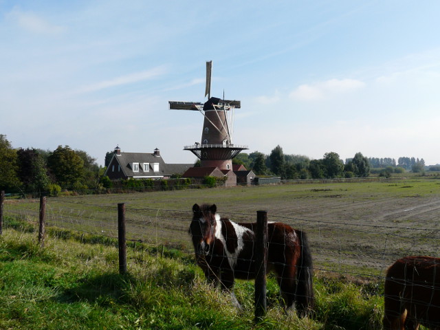 P1000584sgravenpolder
