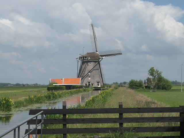 P1370306zwammerdam_z